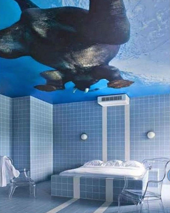 underwater-themed bedroom?