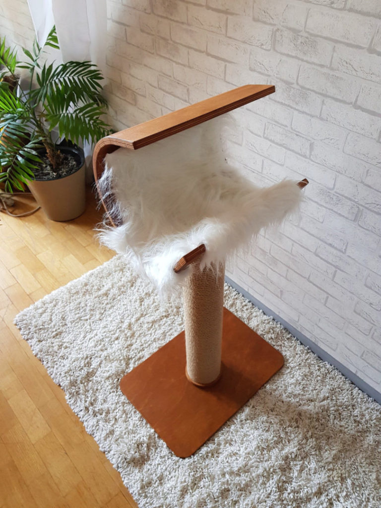 Modern Cat House