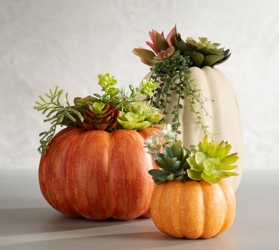 How to Decorate Your Living Space With Pumpkins?