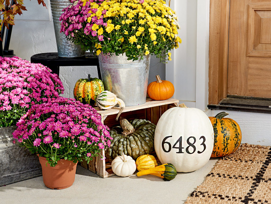 Can You Decorate Your Living Space With Pumpkins?