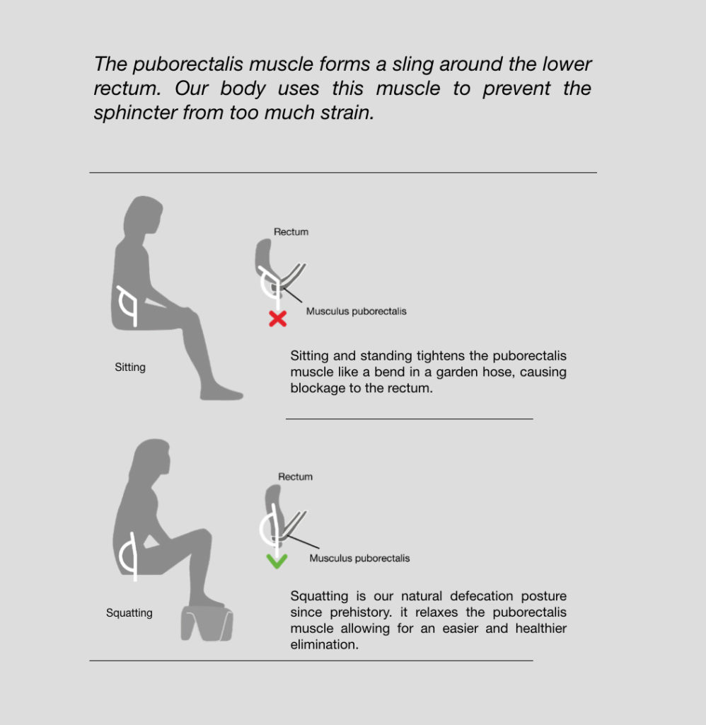 Sitting Position in bathroom