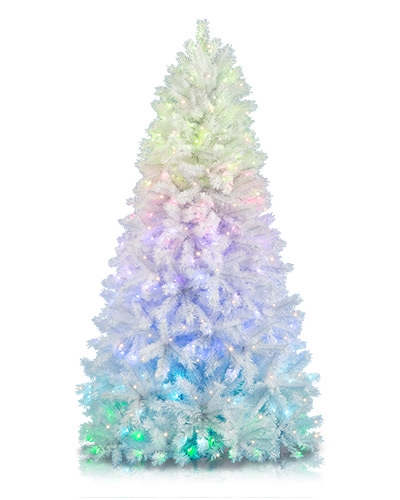 Quirky Xmas Trees