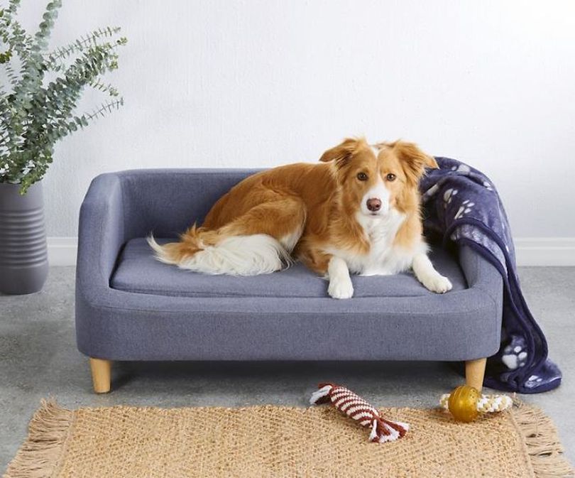 aldis special dog sofas