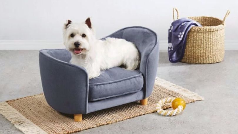 aldis special dog sofas