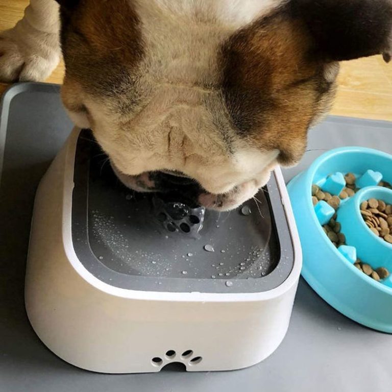 TagME Dripless Dog Water Bowl Prevents Water Spillage by Your Pet - Pep