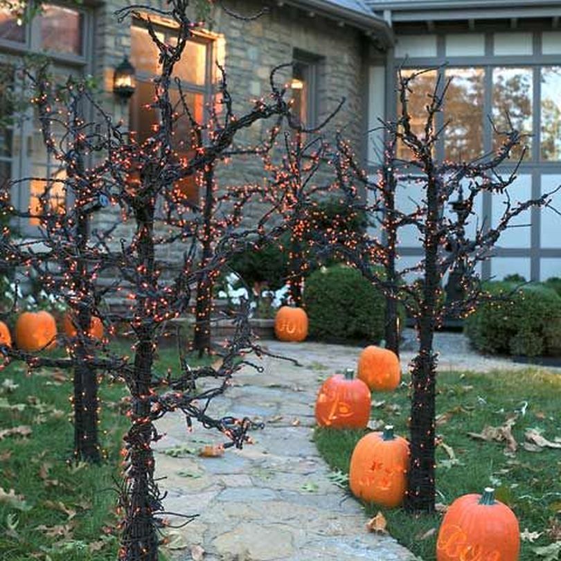 Pathways Adorned with Pumpkins