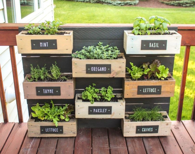 diy herb planter in kitchen on wall