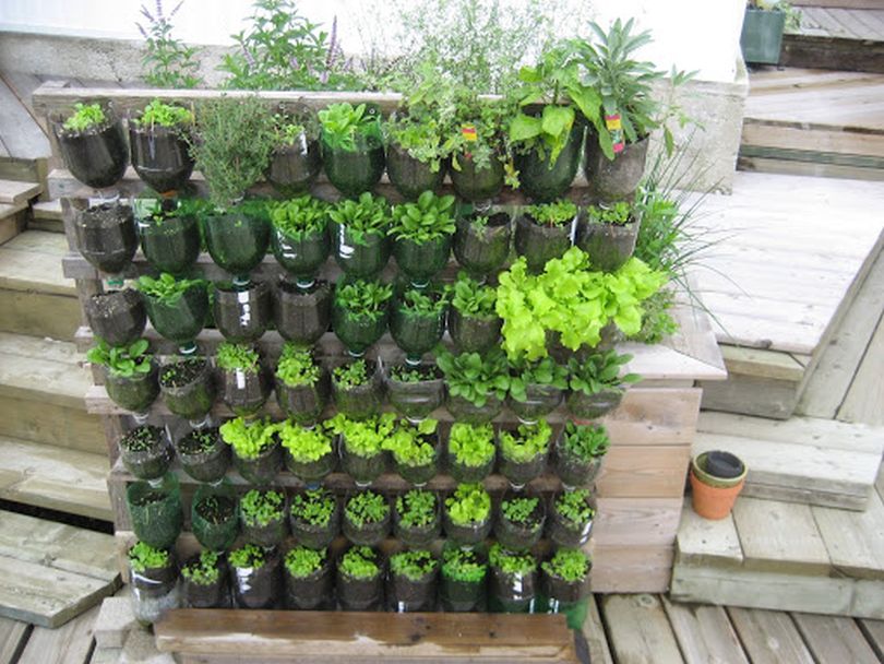 Vertical Planter Ideas