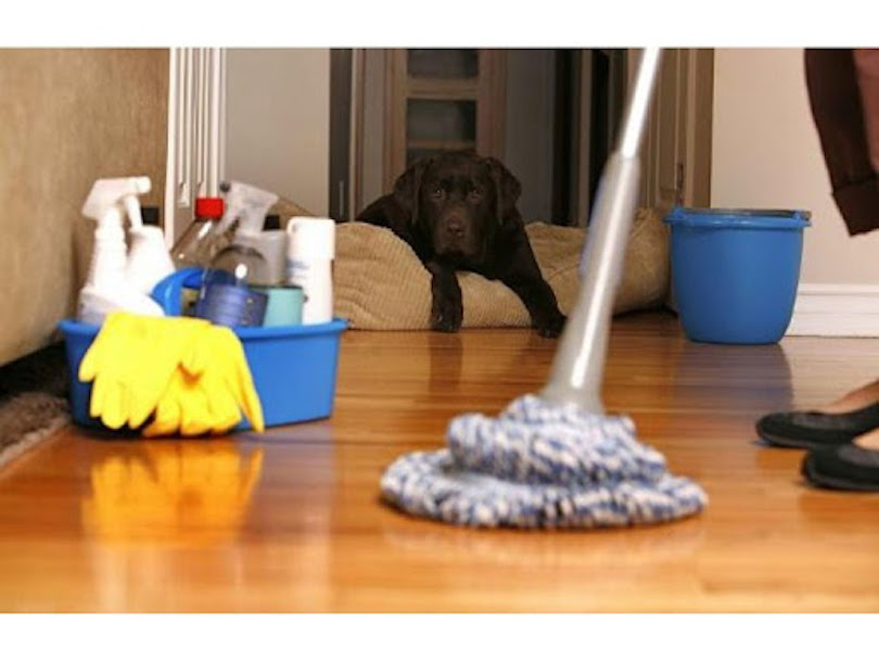 Best Home Cleaning Ideas To Make Your Living Space Shine