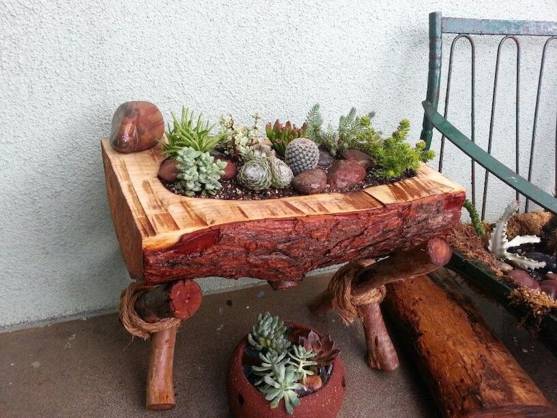 DIY Log Planter