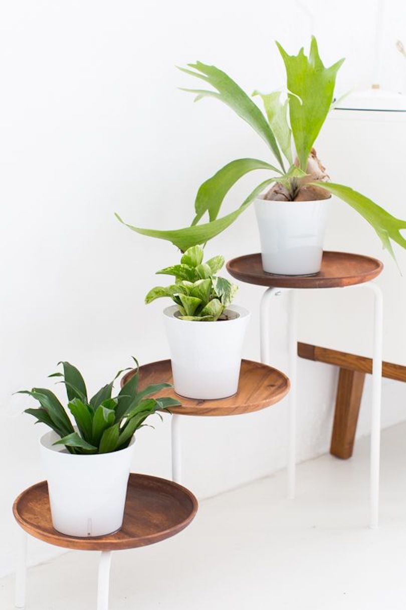 DIY Acacia Wood Plant Stand