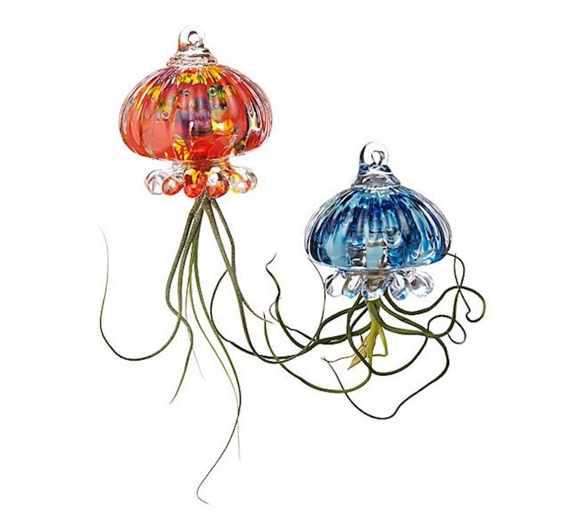 Jellyfish Air Planter