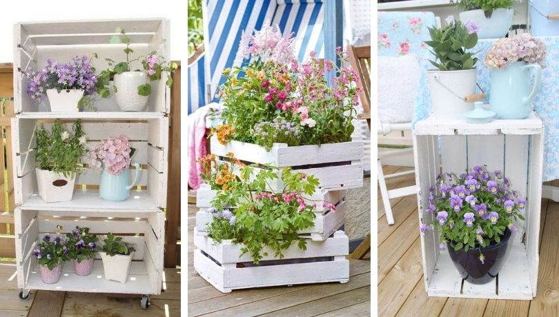Reuse Fruit Boxes For Decorating or Planting