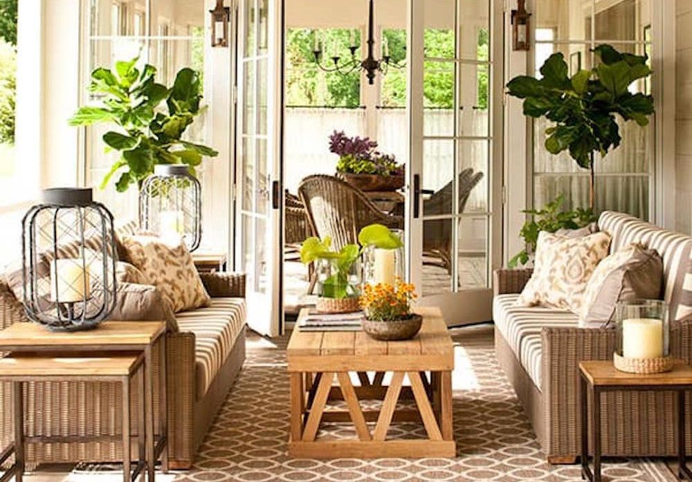 best living room plants to dress up your space