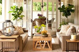 best living room plants to dress up your space