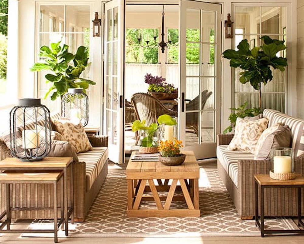 best living room plants to dress up your space
