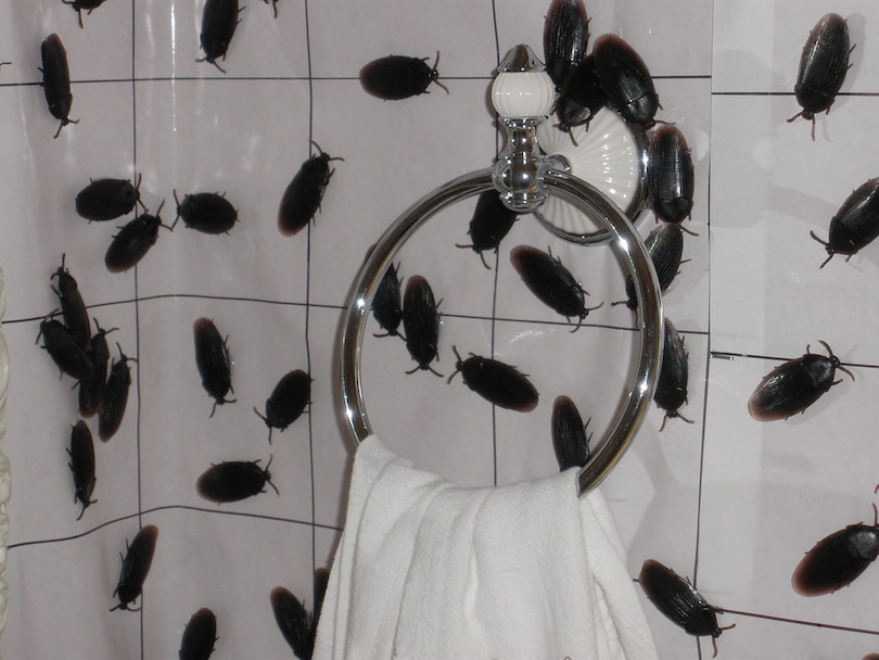 Roach Invasion - halloween bathroom decorations