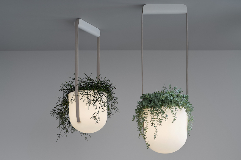 This hanging light fixture doubles as a planter to bring nature indoors