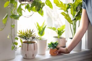 Easy Window Sill Decorations to Spruce Up Your Space