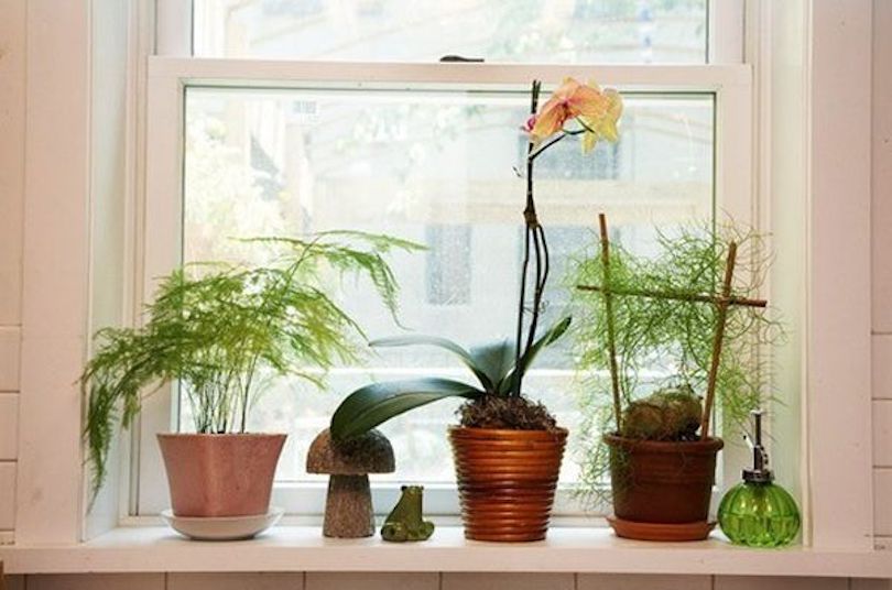 Easy Window Decorations - Flourishing Pocket Gardens