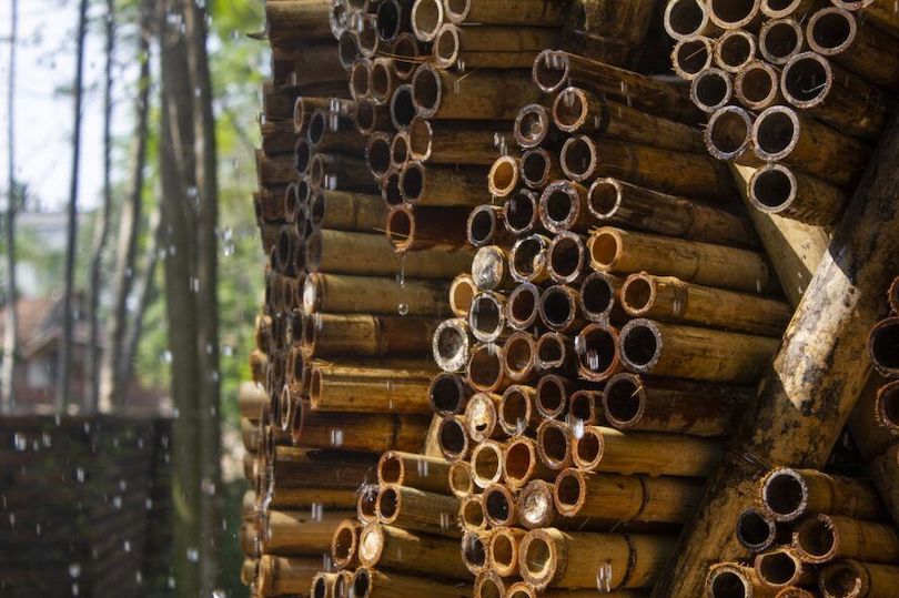 Bamboo cooling system