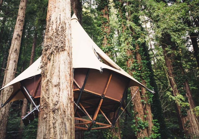 O2 Treehouse Launches First-Ever Modular Glamping Treehouse Tents