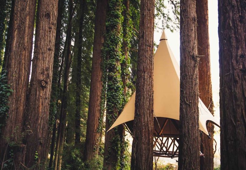 O2 Treehouse Launches First-Ever Modular Glamping Treehouse Tents