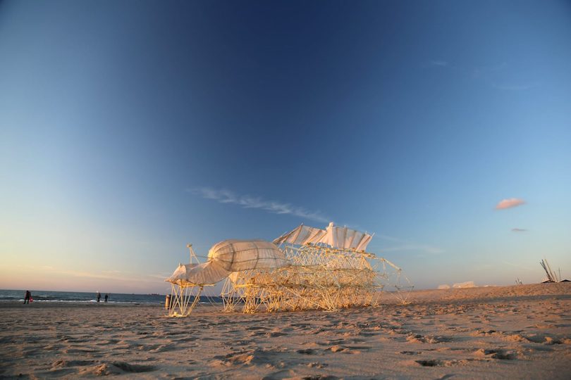 Powered by Wind, Theo Jansen’s Strandbeest Skeletons Can Fly Now