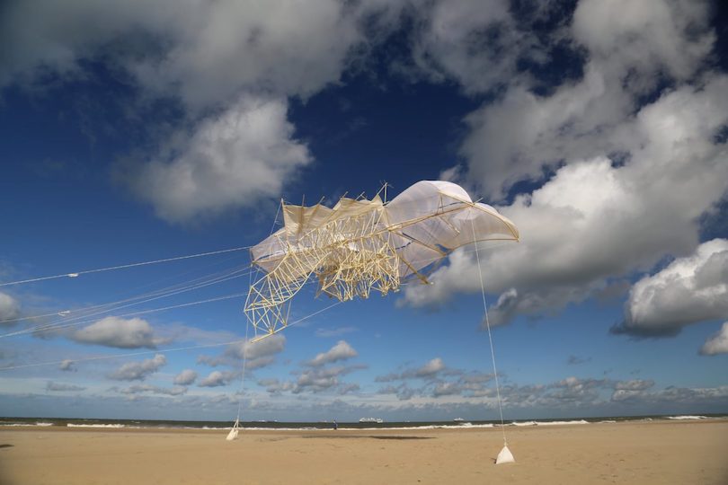 Powered by Wind, Theo Jansen’s Strandbeest Skeletons Can Fly Now