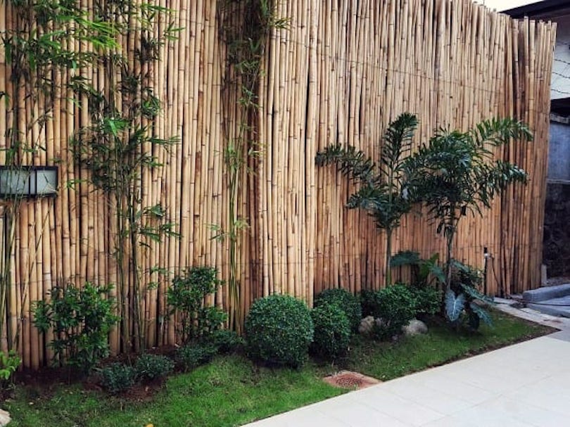 bamboo-garden-landscape-ideas - Bamboo Garden Hedge