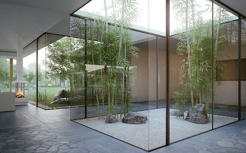 bamboo-garden-landscape-ideas - Bamboo in Glass Cabins