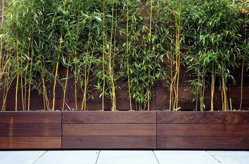 bamboo-garden-landscape-ideas - Wooden Planters of Bamboo