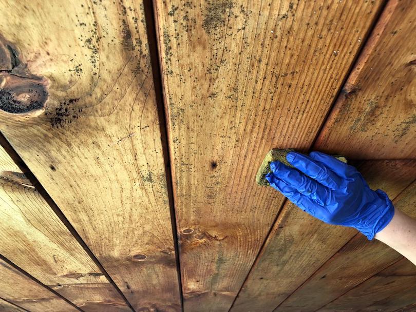 how to prevent mold on furniture