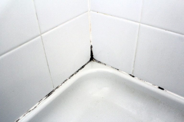 How to Remove Mold From Shower Caulking Pep Up Home