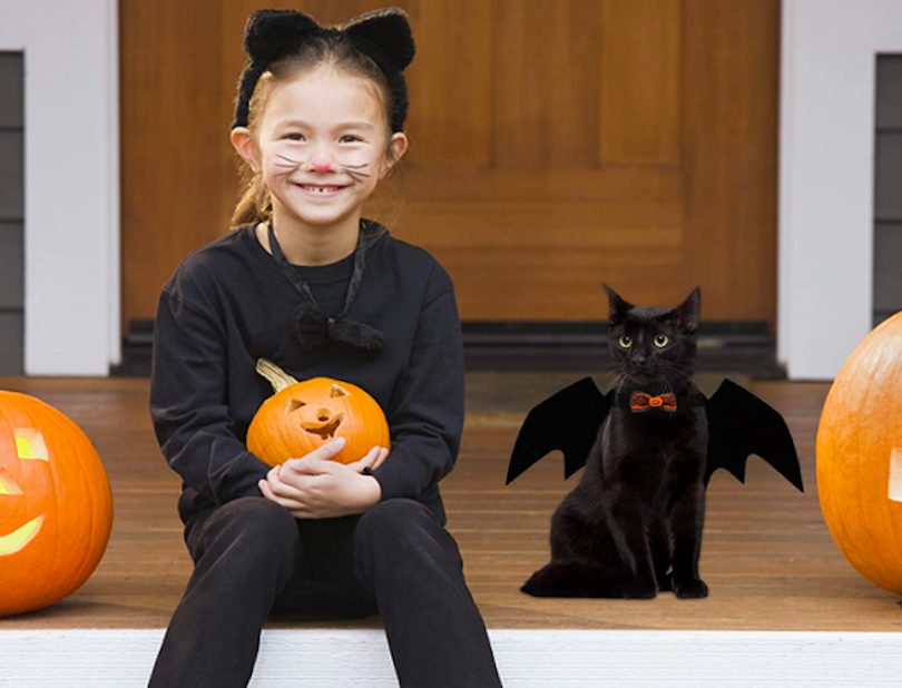 Cat Halloween Costume - Halloween Costume Ideas 2022-2023 For Spooky Holiday