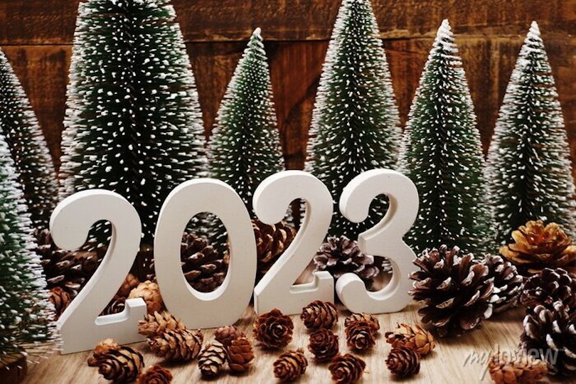 Christmas Decorations 2023