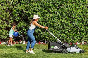 best lawn mower 2023