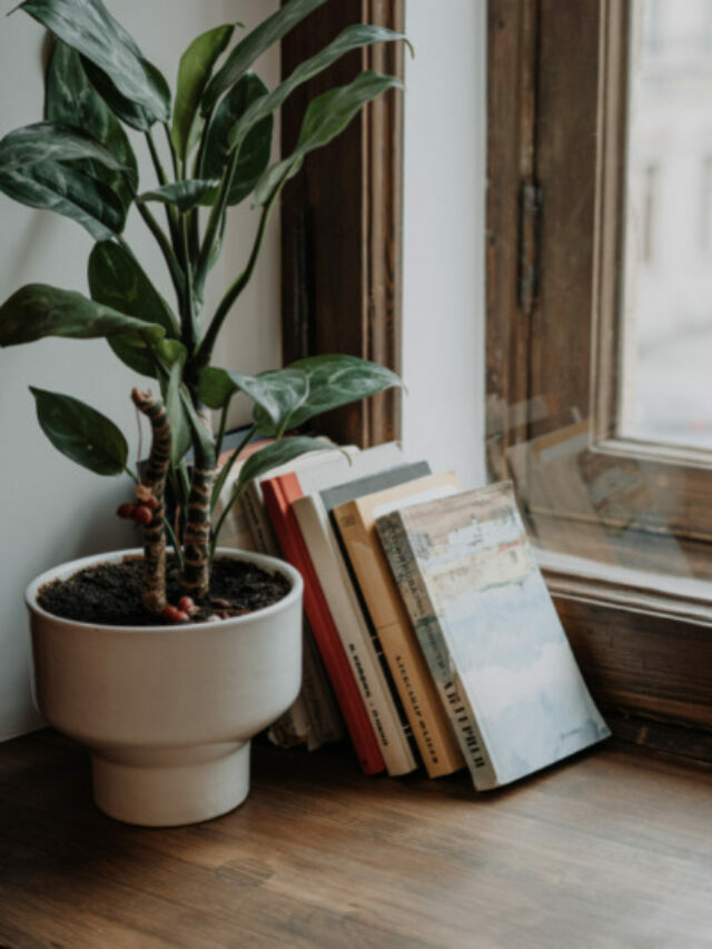 Easy Window Sill Decorations to Spruce Up Your Space