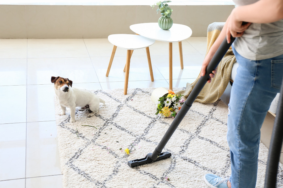 Dirty or Inadequate Vacuum Cleaner