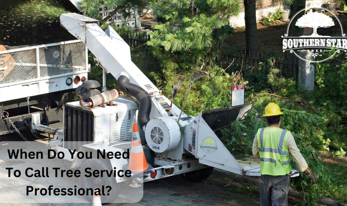 When Do You Need To Call Tree Service Professional?