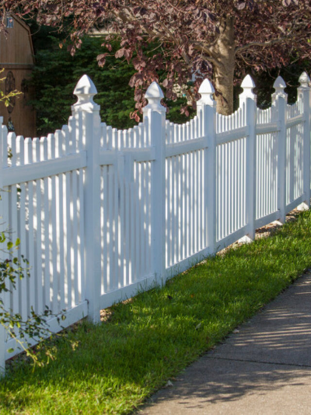 Best Fence Material - Pep Up Home