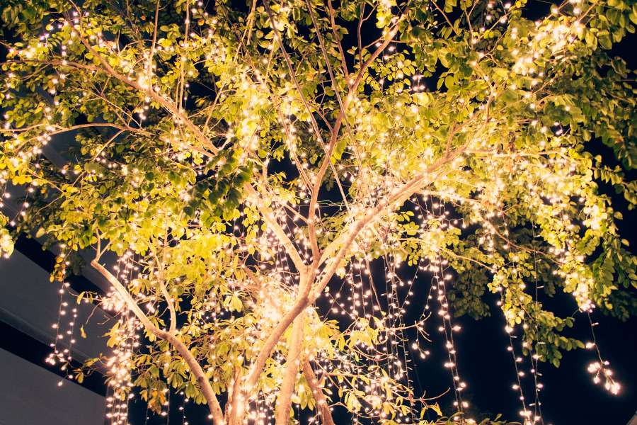 Outdoor Fairy Light Spirit Tree