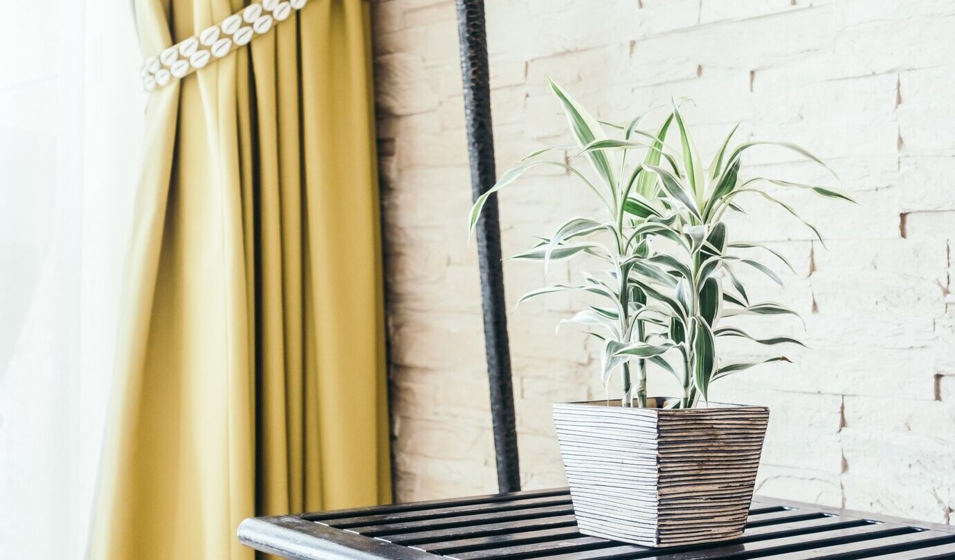 Ultimate Guide to Curtain Holders 2025